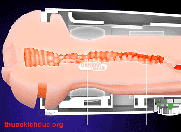 Hoạt động của đồ chơi người lớn