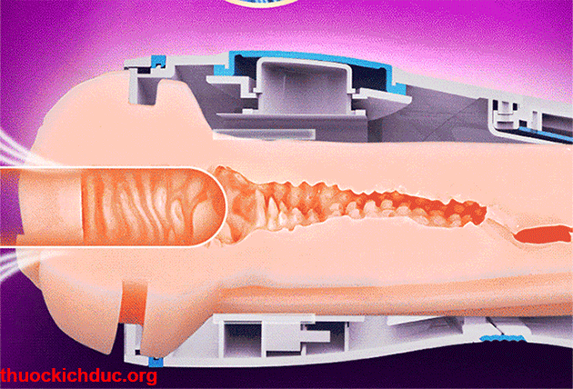 Hoạt động của đồ chơi người lớn